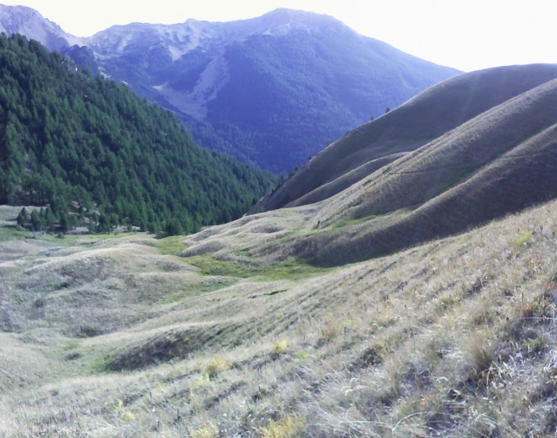 zone d'alpage : début de la descente à flanc à droite.
Au fond Mont Orel.