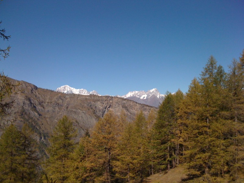 Mont Blanc : Depuis le col