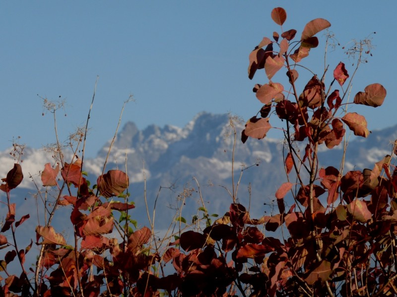 #9 Les Trois Pics de Belledonnes : avec leur petit manteau blanc Les Trois Pics de Belledonnes : avec leur petit manteau blanc