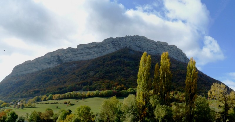 #2 Le Néron : manque un peu de lumière Le Néron : manque un peu de lumière