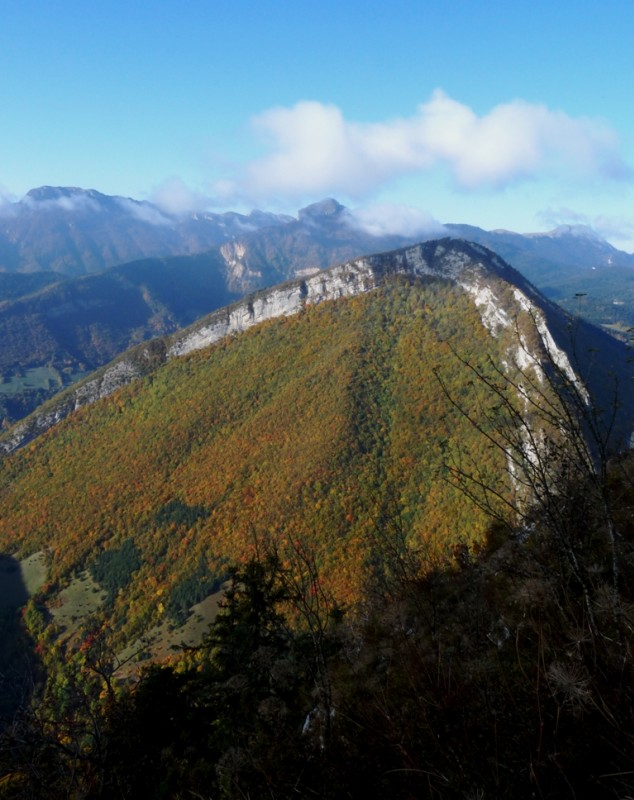 #5 l l'Ecoutoux : avec ses belles couleurs d'automnes