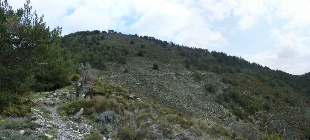 Bientôt le Col de Gratteloup : Le sentier redevient agréable, après 400 m de D+ infernaux
