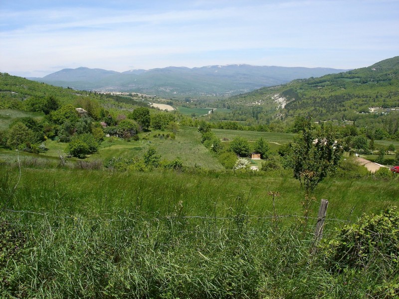 Jour 4: Les Ybourgues : Vue sur le versant sud de Lure.
La végétation est agréablement verte, à cette saison!