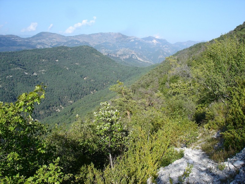 Sauma Longa : Le sentier qui monte à la cime de la Cacia.
Au loin, le Mont Brune, derrière Sauma Longa.