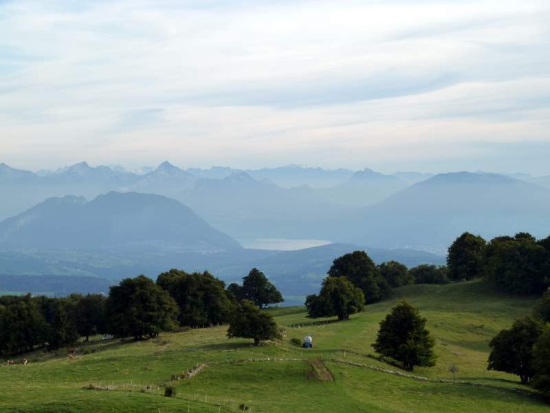 Lac d'Annecy : Lac d'Annecy, Mt Veyrier, Bauges depuis les Chavannes