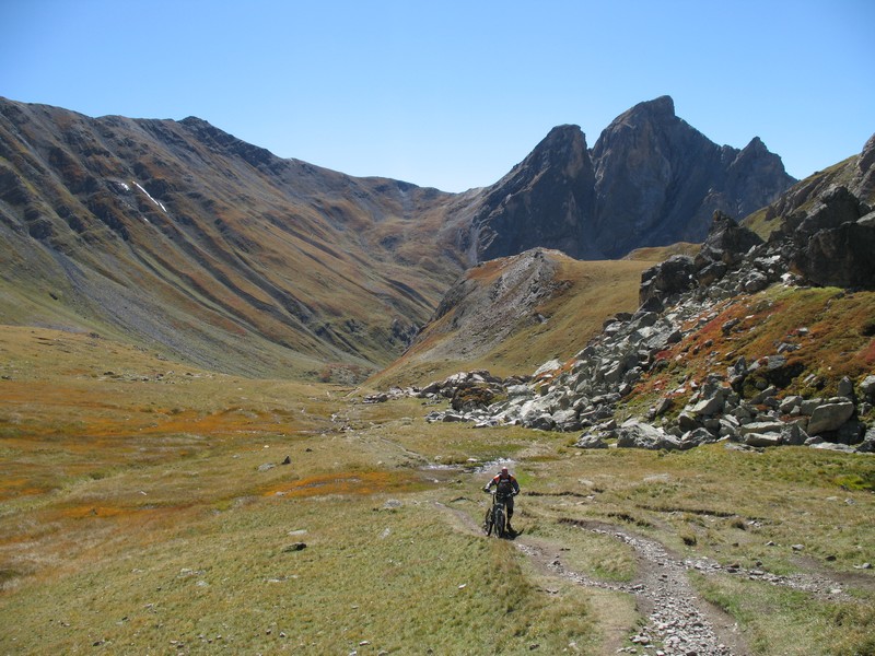 #7 Claudius : ça pousse Claudius : ça pousse