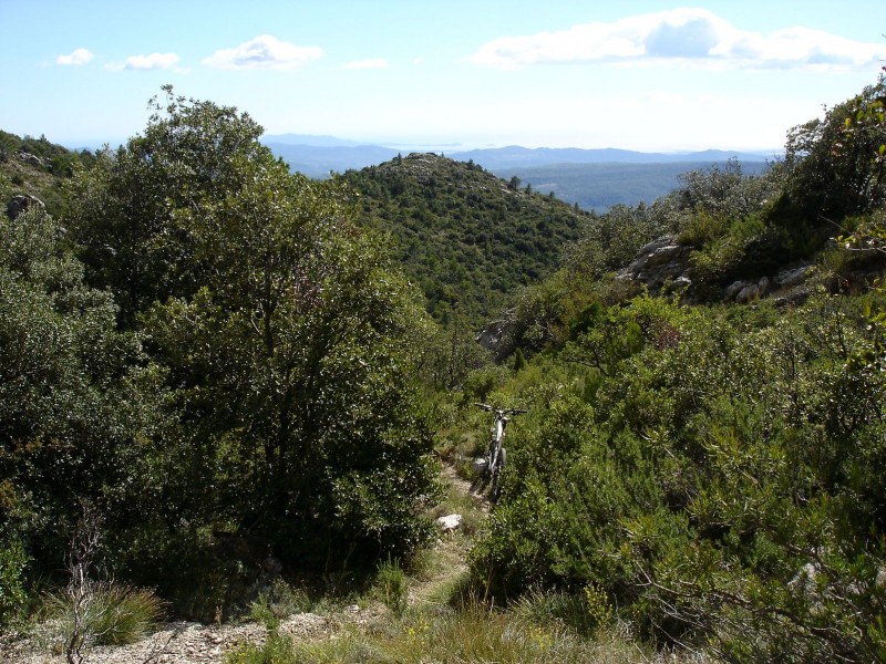 #5 Vallon de Frédéric : ça devient un peu moins technique Vallon de Frédéric : ça devient un peu moins technique