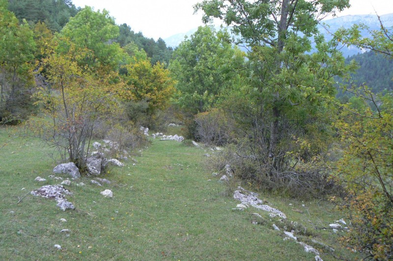 Vallon de la Baume : Sentier moquette