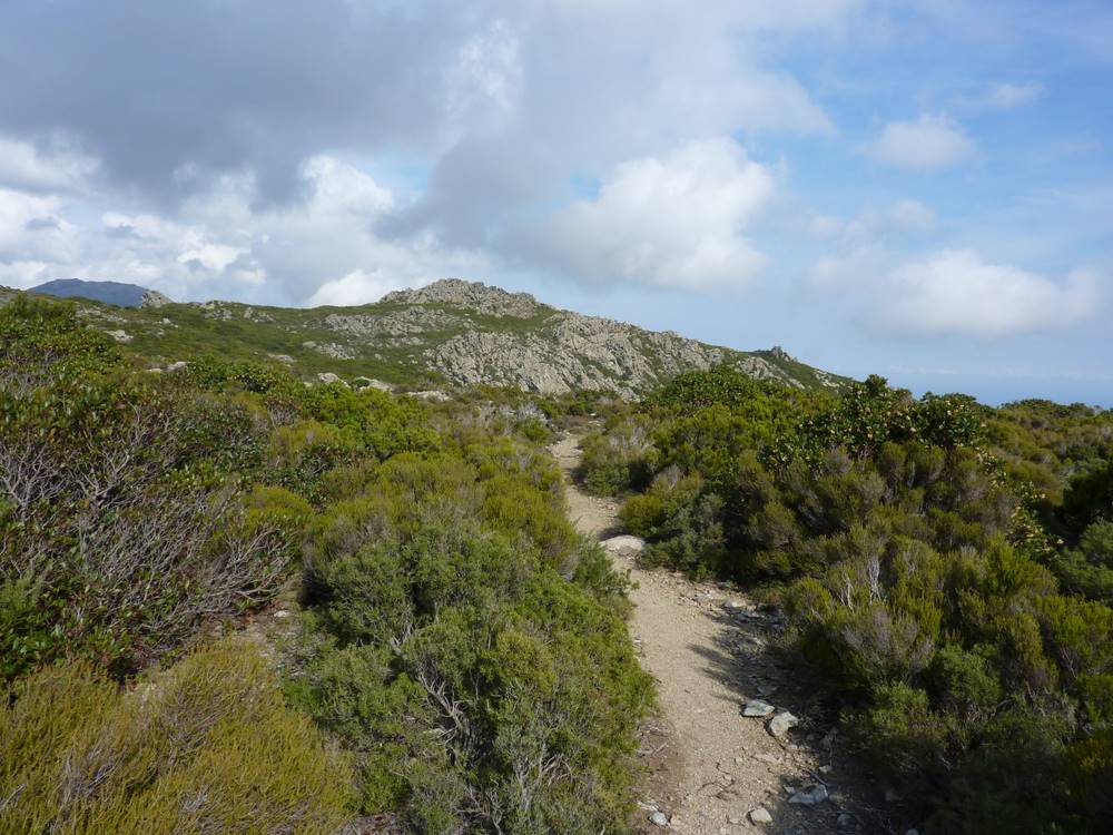 Sentier Corse : Les odeurs de maquis sont indescriptibles mais vraiment prenantes