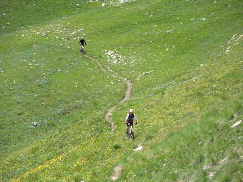 The grass is greener : Le top: un single fabuleux entre le Col de la Croix de Veyre et celui de Clapouse !!