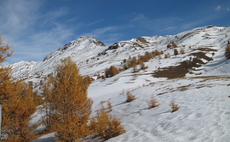 Pic de l'Agrenier : presque en haut pour cette montée dans la neige