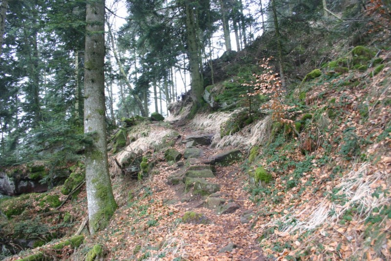 Sentier : Derniers mètres avant la Roche Mère Henry