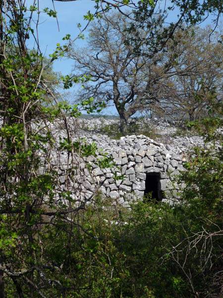 Borie : Ce sont des cabanes de berger en pierres sèches qu'on trouve dans toute la Provence.