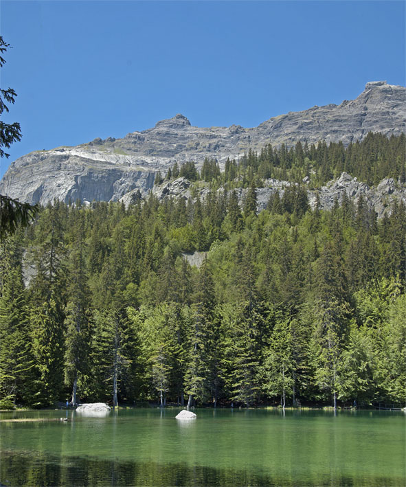 Lac Vert : Lac Vert et rochers du Dérochoir