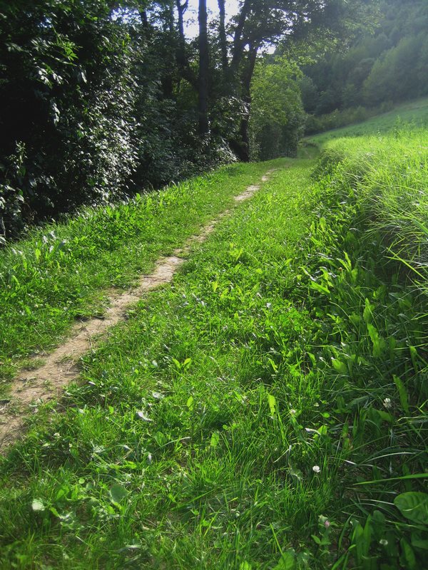 #5 Traversée : Cà sens la fin Traversée : Cà sens la fin