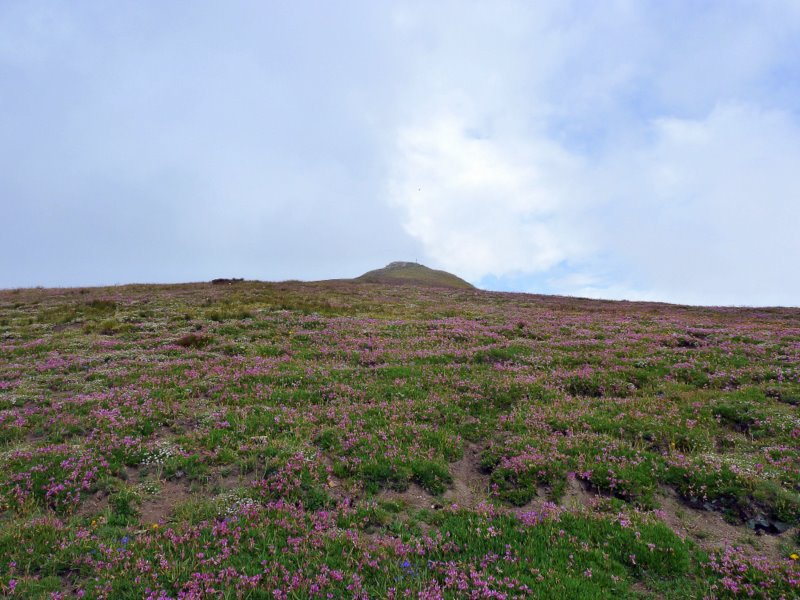 Pte de Chaligne : Arrivée florale au sommet