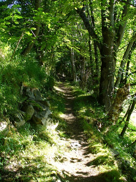 Sentier Montée : Paisible sentier entre Valloire et Le Villard