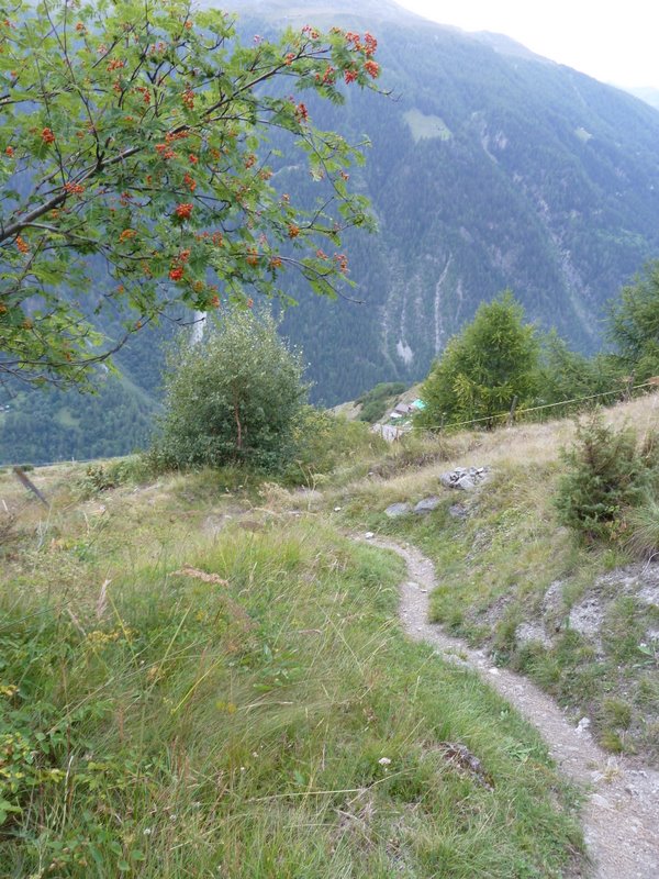 Val d'Hérens : Sentier hérensard 1