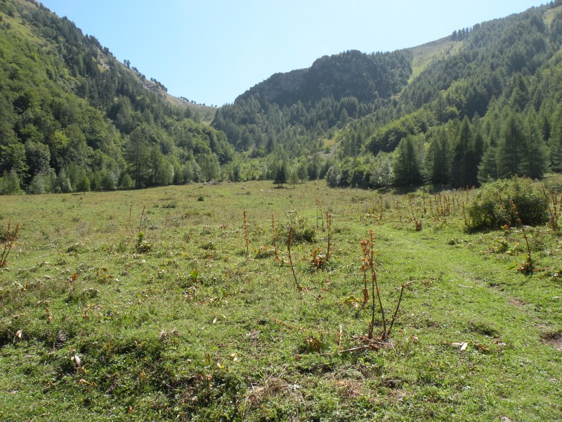 Photo14 : Du plateau de la Vacherie, vue sur le col d'Hurtière