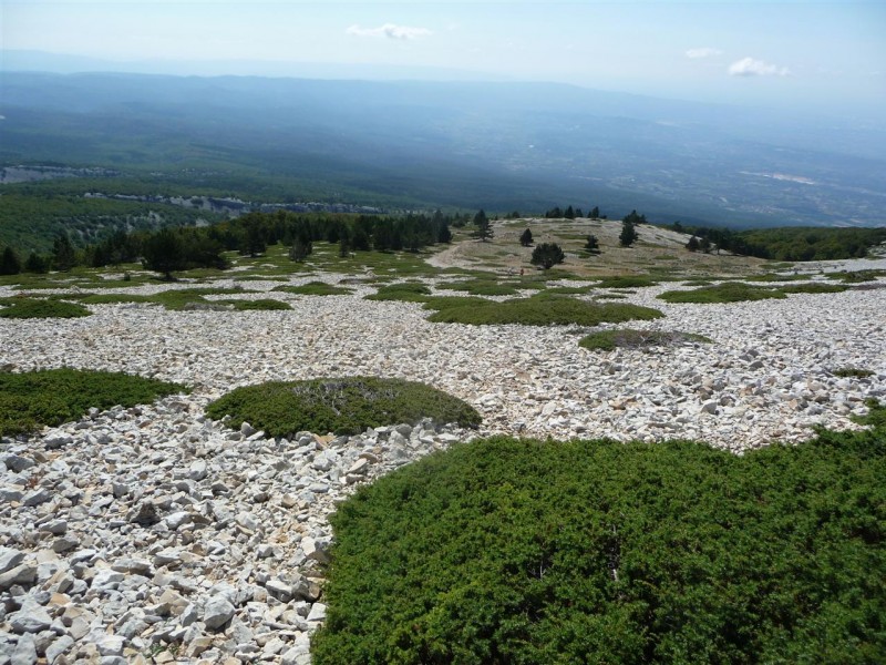 Mont Ventoux : C'est beau quand même, et quelle vue...