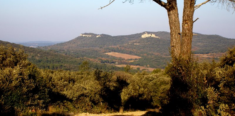 Bois de Gicon : Le Château de Gicon est situé sur le promontoire rocheux