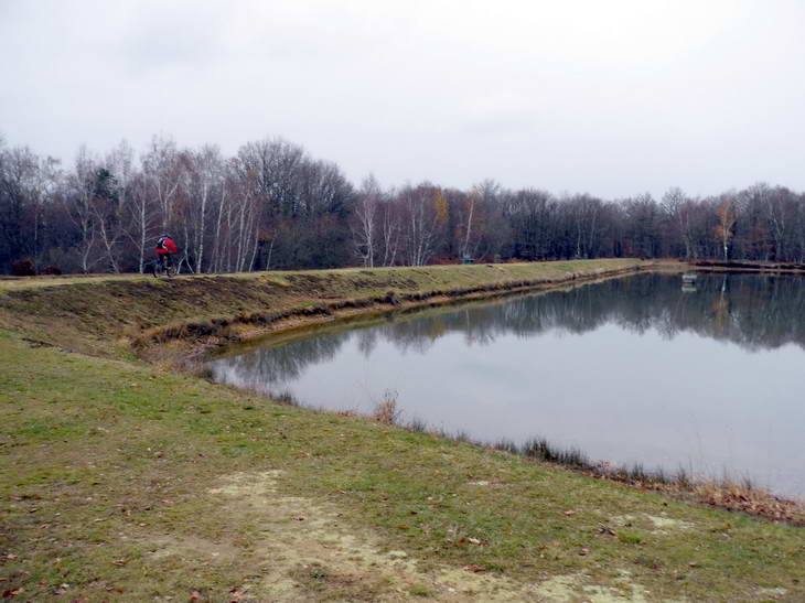 Étang des Essarts : Un des rares étangs accessibles !