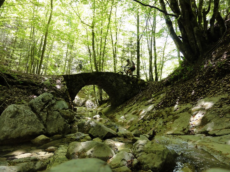 pont de pierre : en bas du Grand Carroz, portage à 75% à partir de là jusqu'au sommet