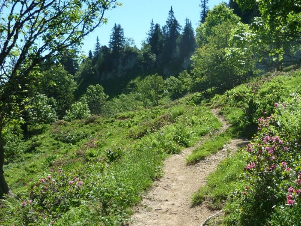 #9 Descente sur La Charmette : photo trompeuse Descente sur La Charmette : photo trompeuse