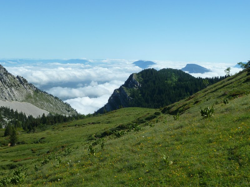 #6 Cul de La Lampe : St Laurent du Pont, le jour ne s Cul de La Lampe : St Laurent du Pont, le jour ne s'est pas encore levé