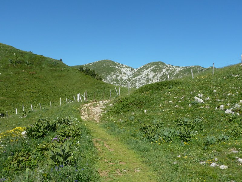 #5 Col de La Grande Vache : Apparition de La Grande Sure Col de La Grande Vache : Apparition de La Grande Sure