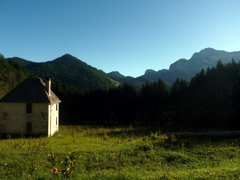 #1 Habert de Malamille : au reveil Habert de Malamille : au reveil