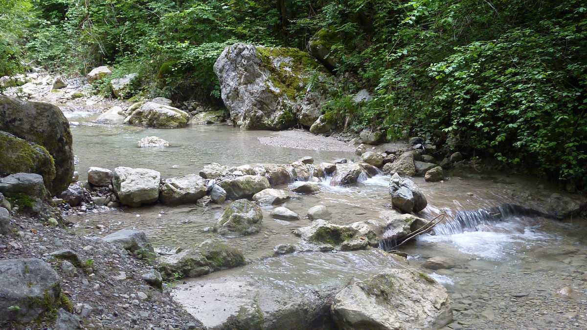 Glouglou : ruisseau de Craponoz