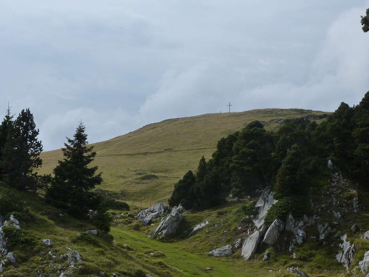 Croix de l'Alpe : le sommet est en vue