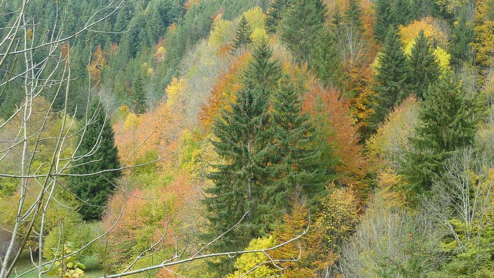 #2 Camaieu : richesse de couleurs Camaieu : richesse de couleurs