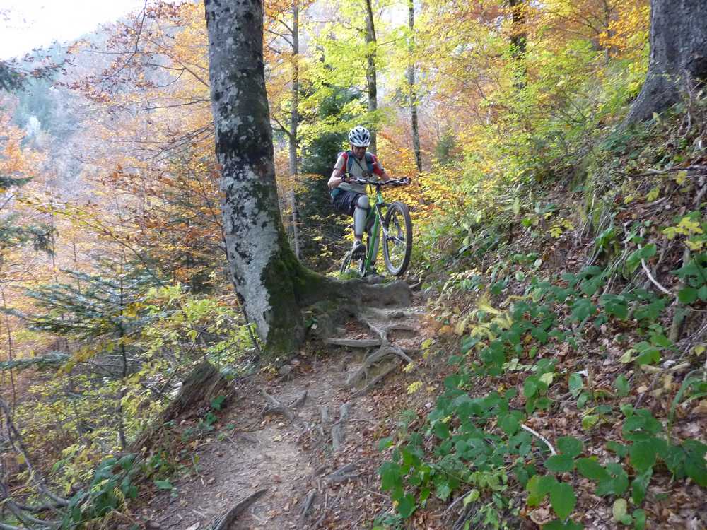 #7 Franchissement : y a quand meme de bons challenges dans cette descente... Franchissement : y a quand meme de bons challenges dans cette descente...