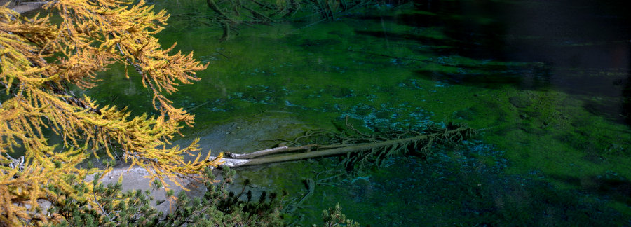 Lago verdo : c'est la saison des contrastes