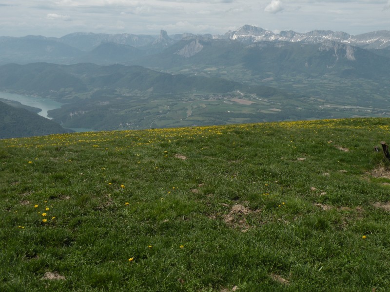 photo4 : Le vercors au loin avec le Mt Aiguille