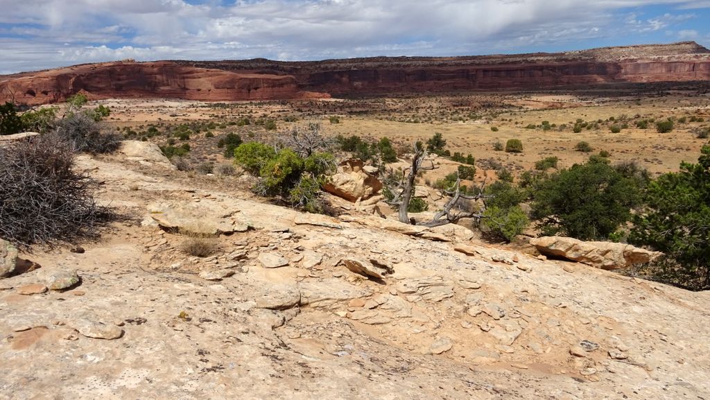 immense dalle, sentiers sinueux, techniques, joueurs. C'est Navajo rocks !